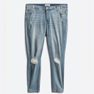 Plus Size Skinny Pistola Jeans - Size 24